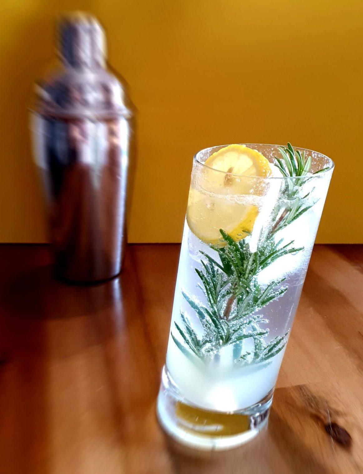 5+1 einfache Cocktails mit Gin: Perfekt für dein Weekend - Gin kaufen